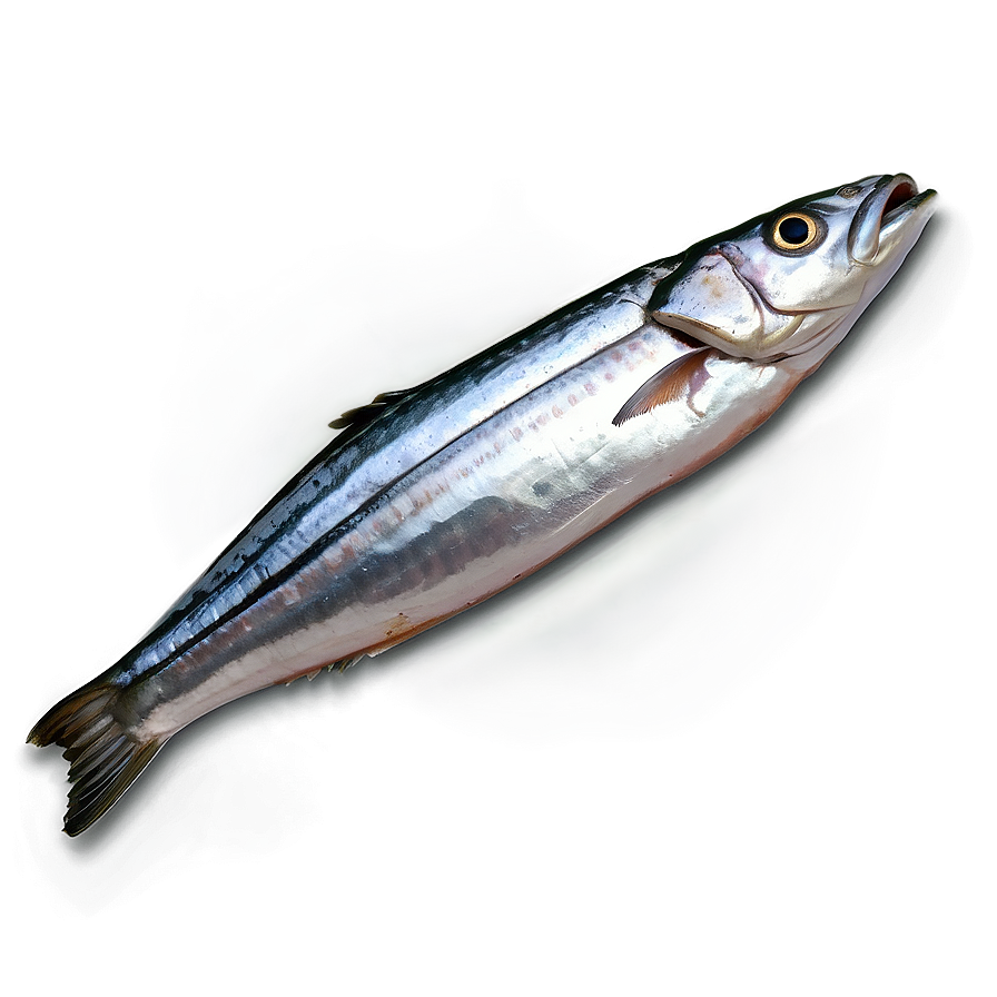 Sardine Packaging Png 95 PNG image