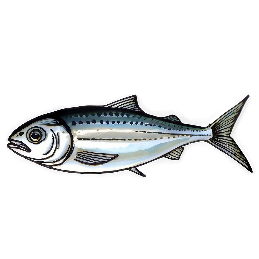 Sardine Sketch Png 06292024 PNG image