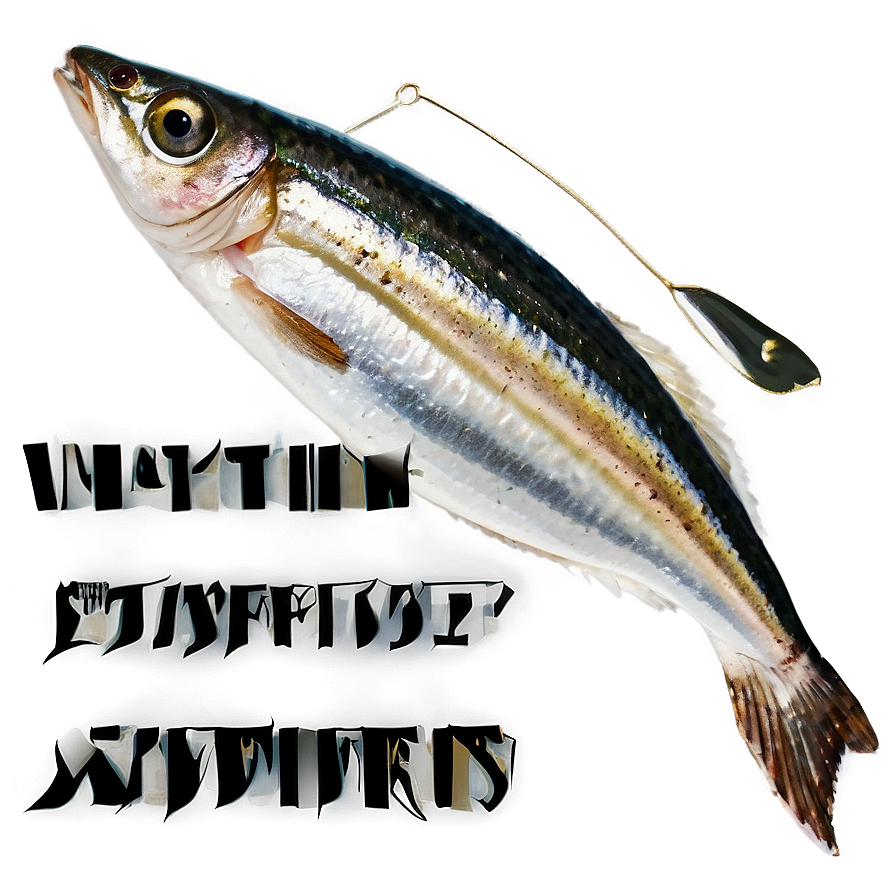 Sardine Skewers Png Ptf PNG image