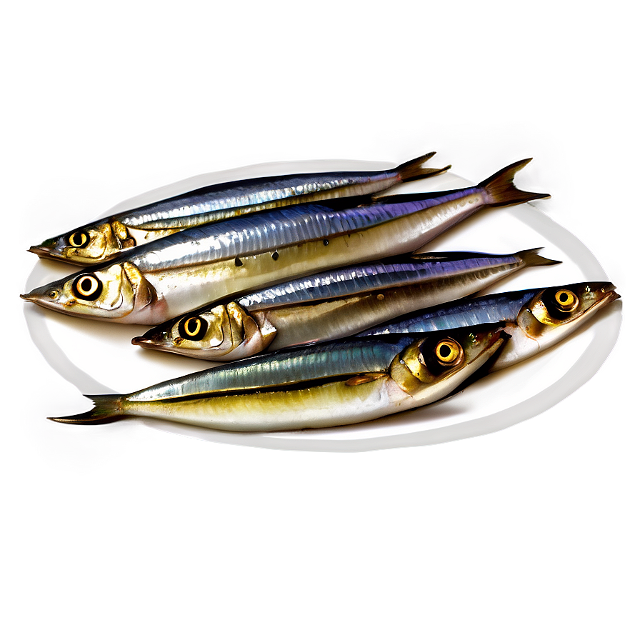 Sardine Snack Png 06252024 PNG image