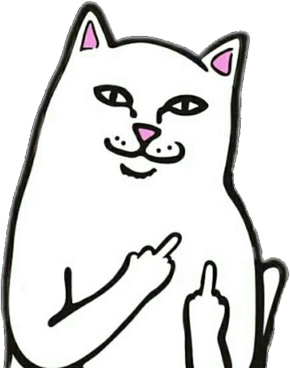 Sassy Cat Meme Gesture PNG image