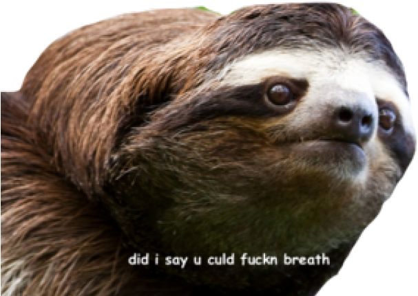 Sassy Sloth Meme PNG image