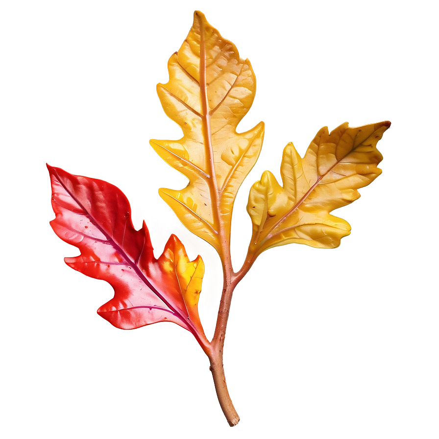 Saturated Fall Leaf Png 05252024 PNG image