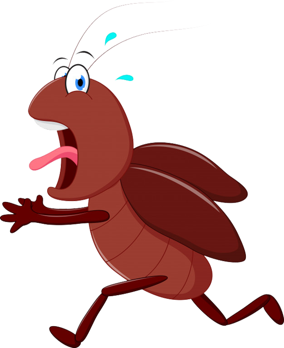 Scared Cartoon Cockroach Running PNG image