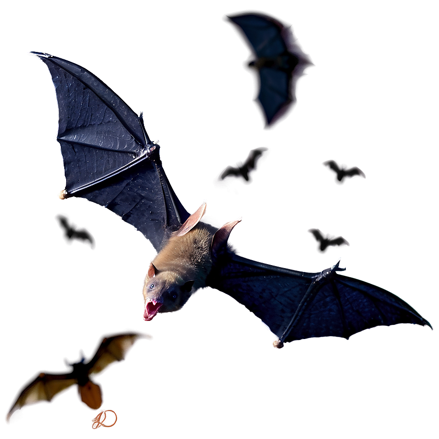 Scary Bats Flight Png 6 PNG image