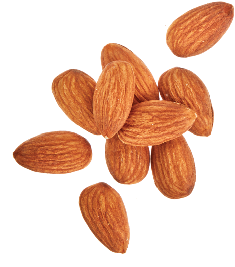 Scattered Almonds Isolated Background PNG image