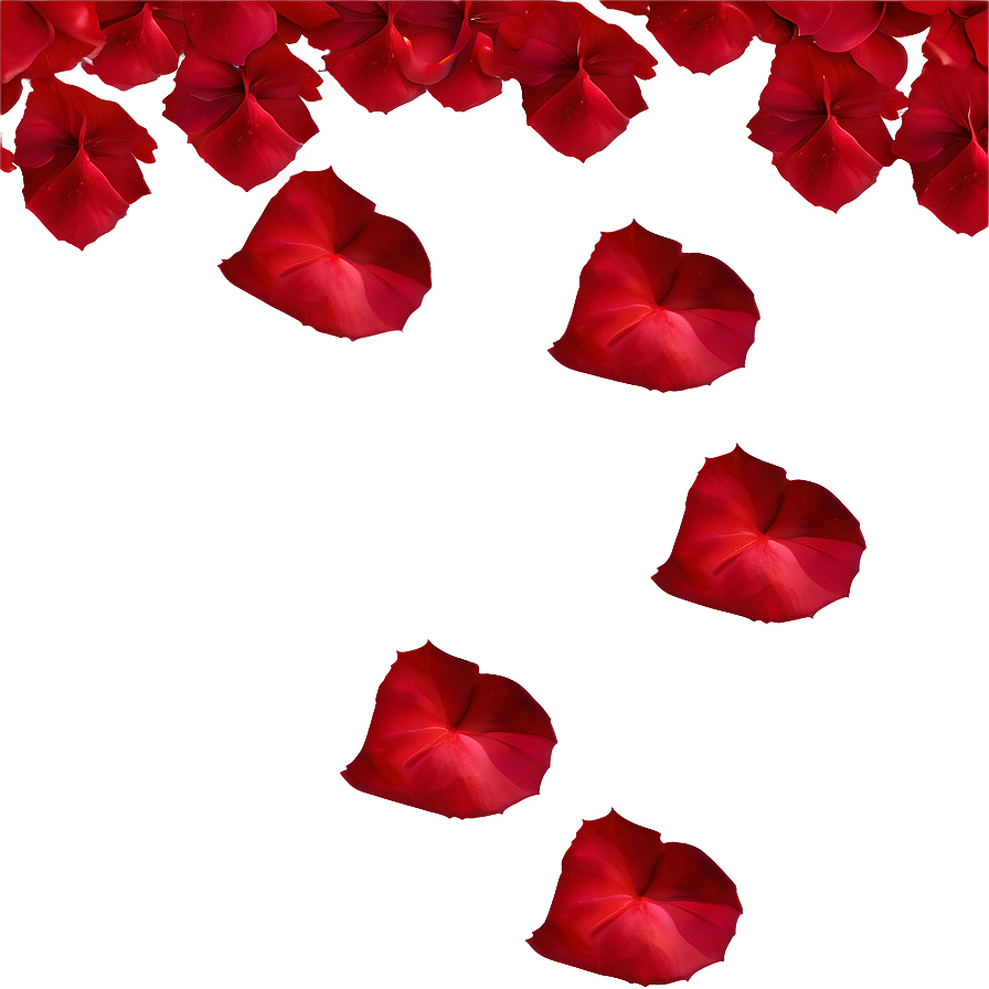 Scattered Rose Petals Png Xjr PNG image