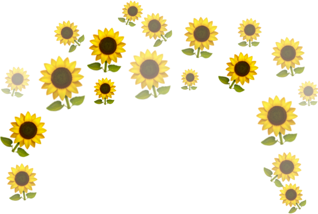 Scattered Sunflowerson Teal Background PNG image