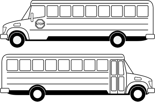 School Bus Vector Illustration PNG image
