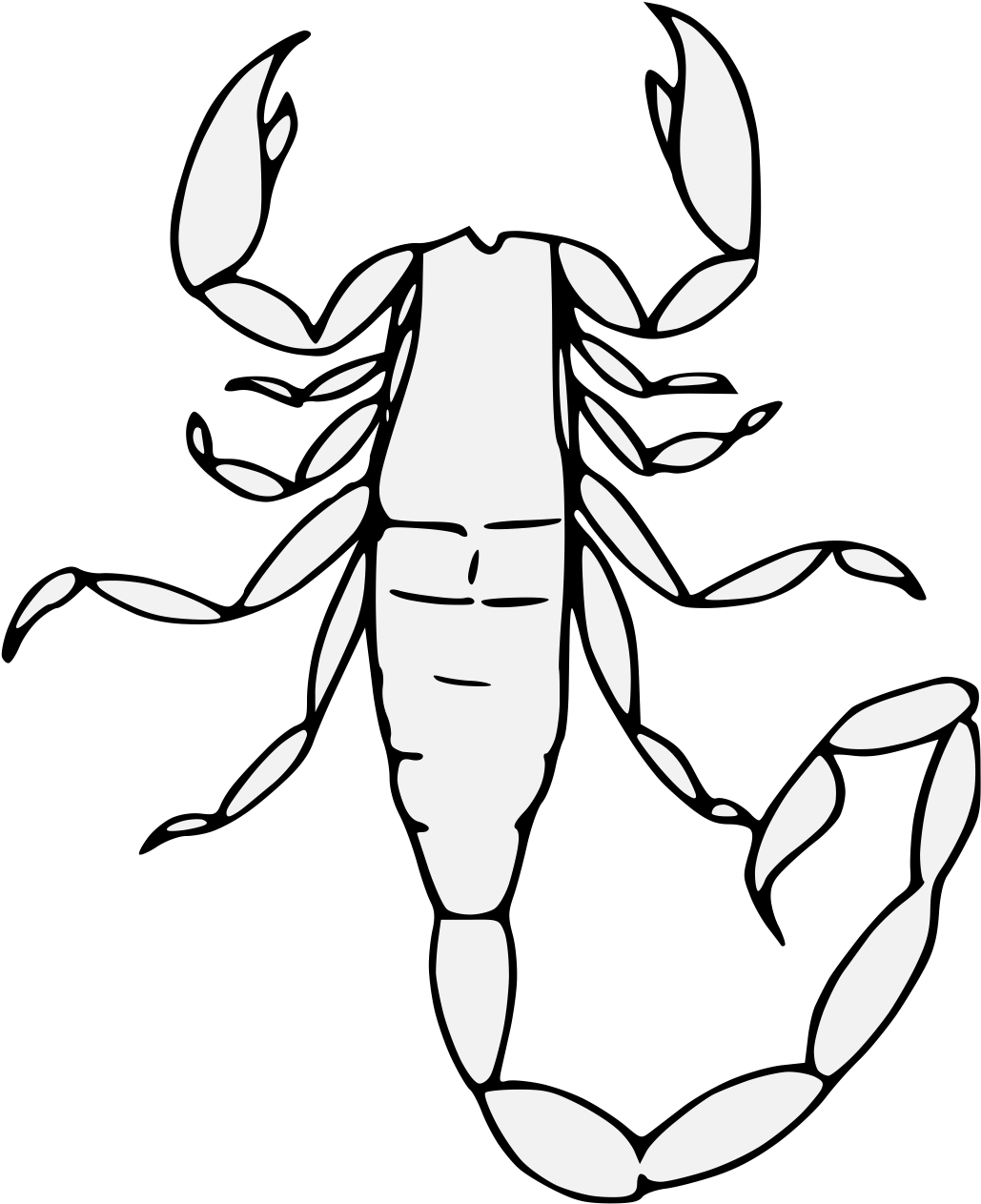 Scorpion_ Line_ Art_ Illustration.png PNG image