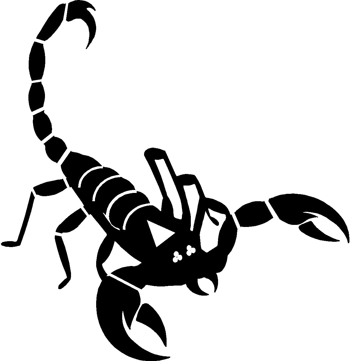Scorpion_ Silhouette_ Vector PNG image