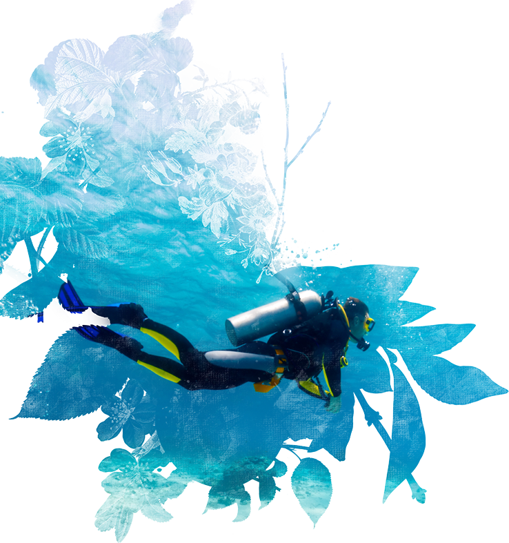 Scuba Diver Underwater Exploration PNG image