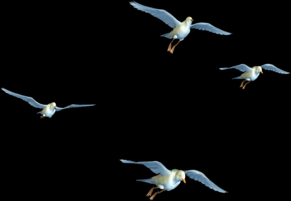 Seagullsin Flight Sequence PNG image