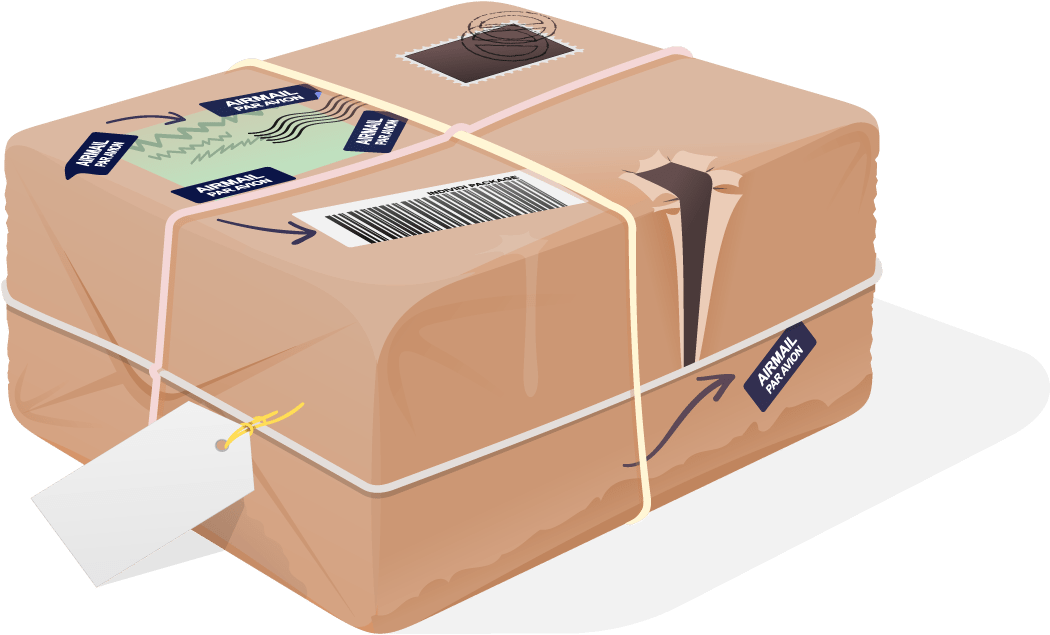 Sealed Shipping Package Illustration PNG image