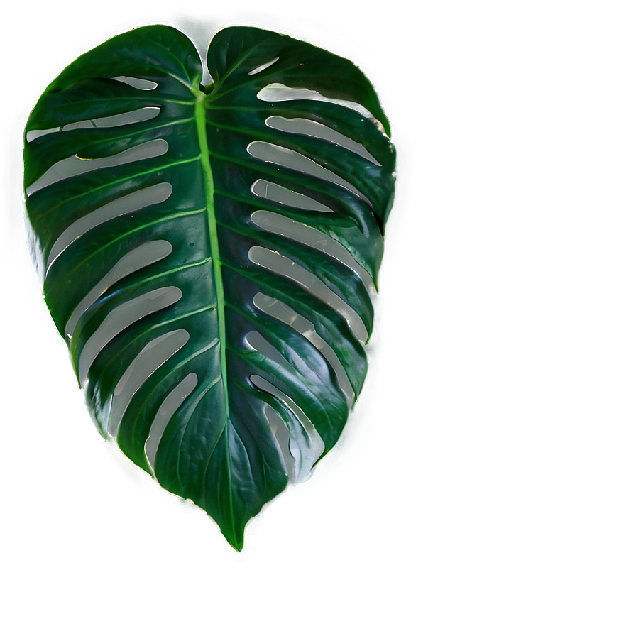 Seamless Tropical Leaf Texture Png 06122024 PNG image