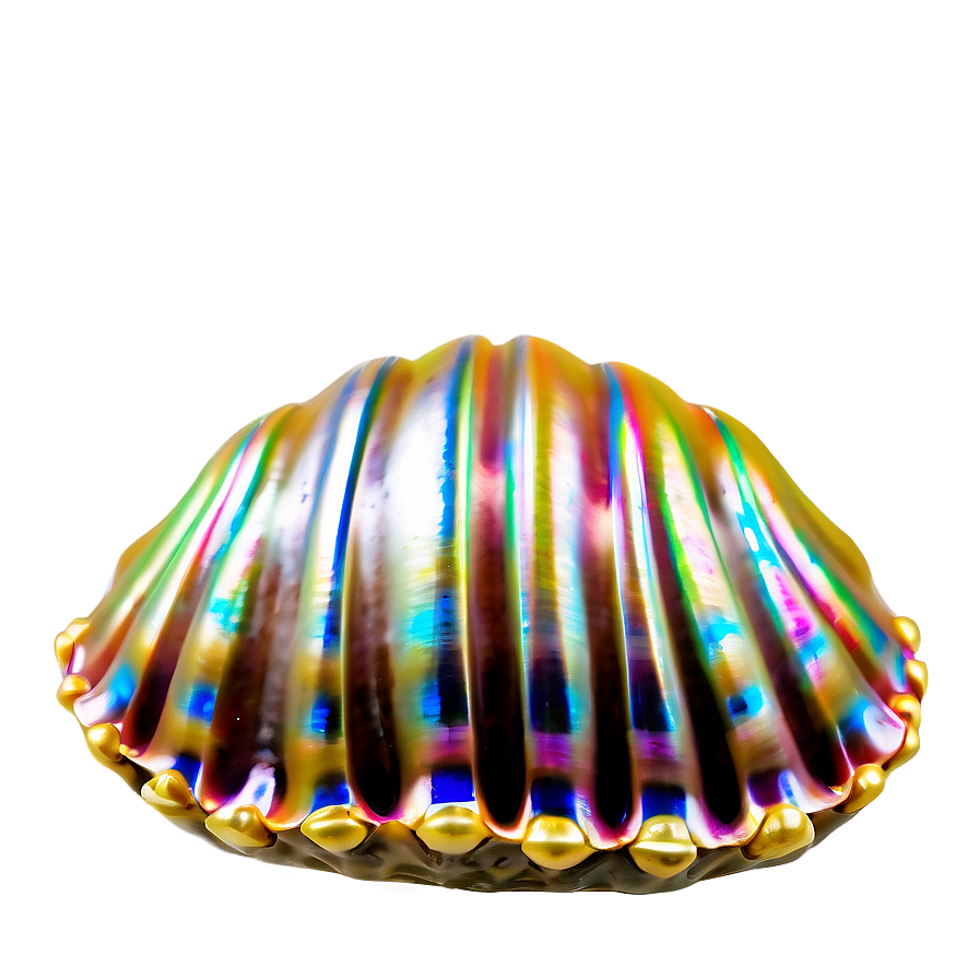 Seashell And Pearl Png 93 PNG image