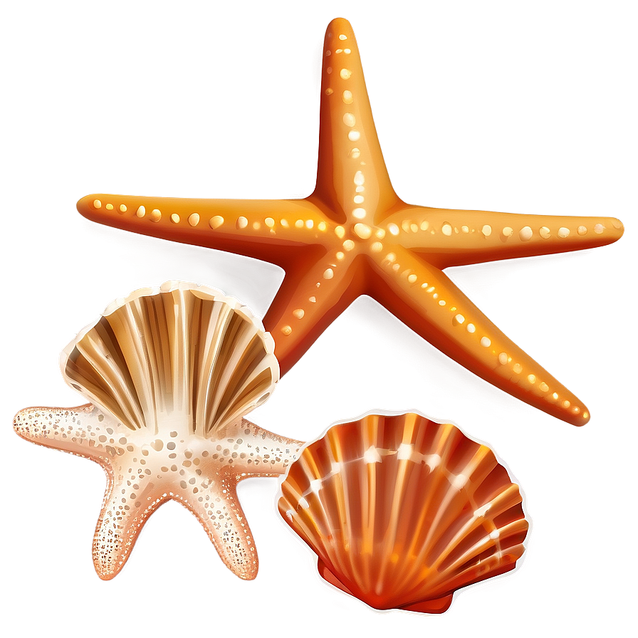 Seashell And Starfish Clipart Png 83 PNG image