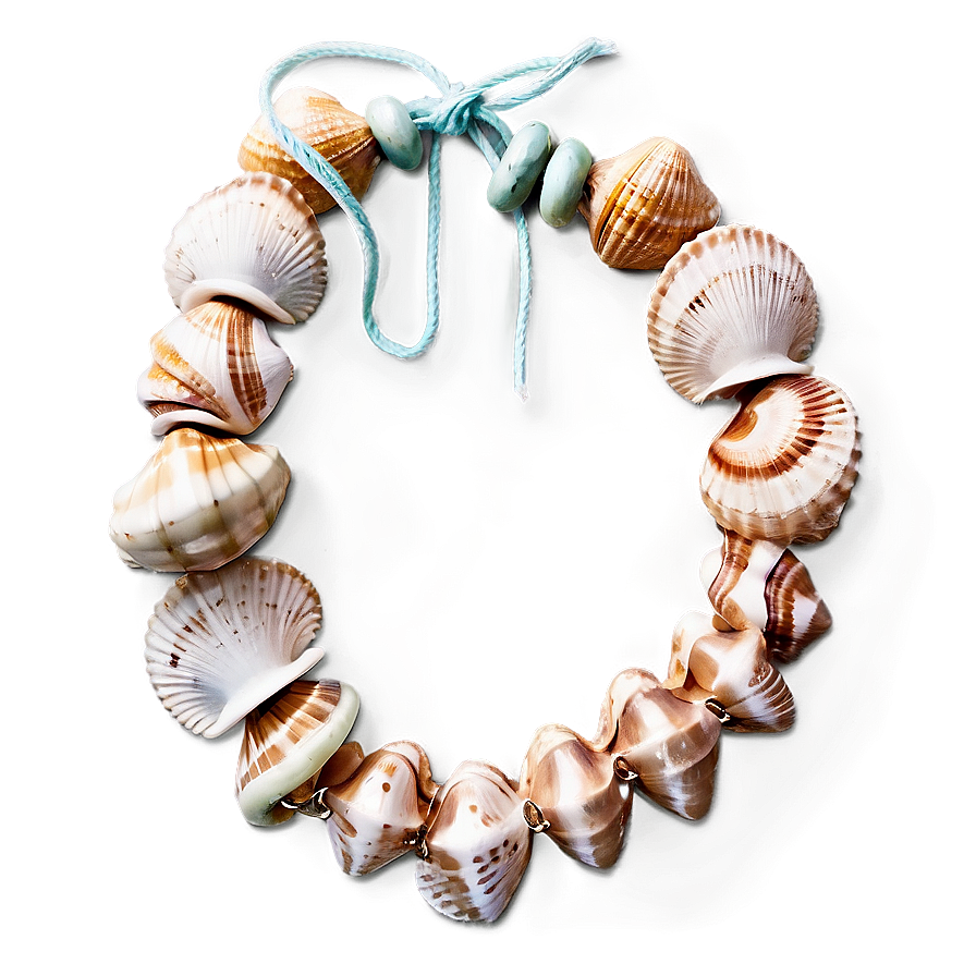 Seashell Garland Png 59 PNG image