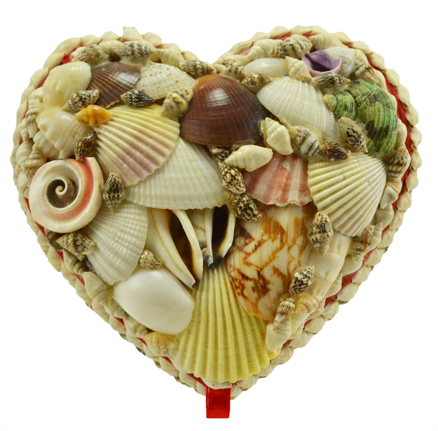 Seashell Heart Artwork PNG image