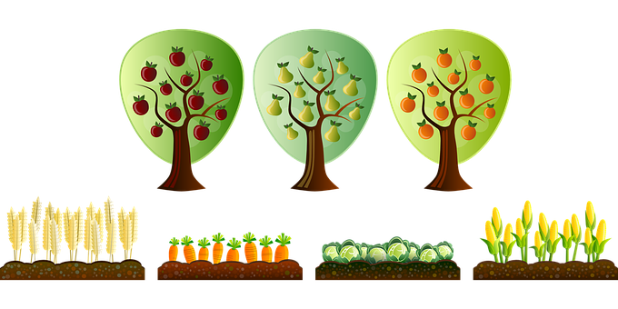 Seasonal Farm Cropsand Trees PNG image