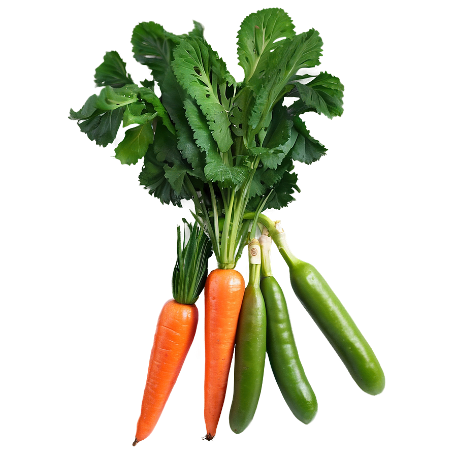 Seasonal Fruit And Veg Png 92 PNG image