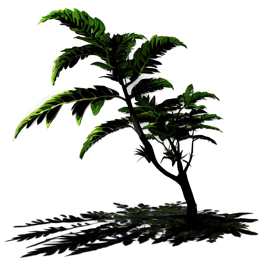 Seasonal Plant Shadow Png Axl PNG image