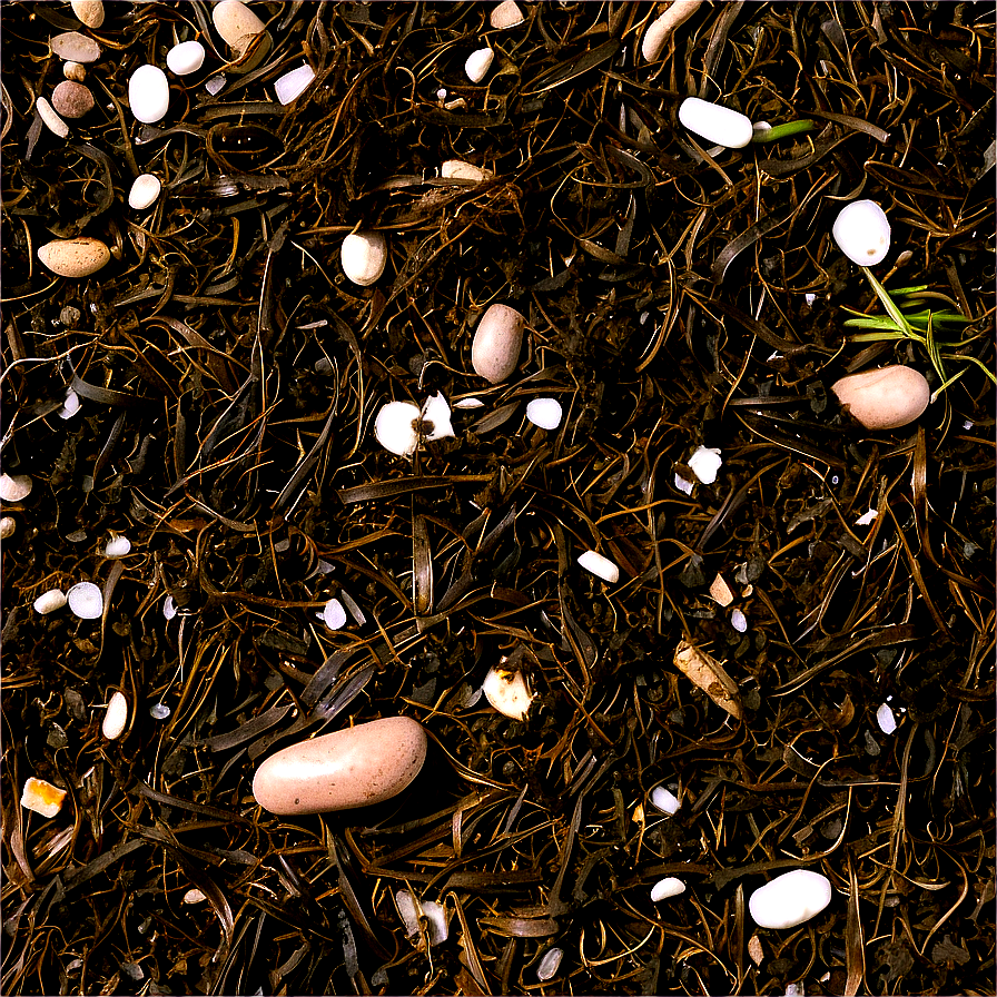 Seaweed And Salt Marsh Mulch Png 51 PNG image