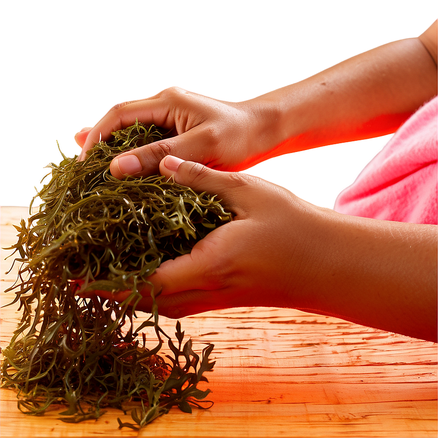 Seaweed Beauty Treatment Png Yrq46 PNG image