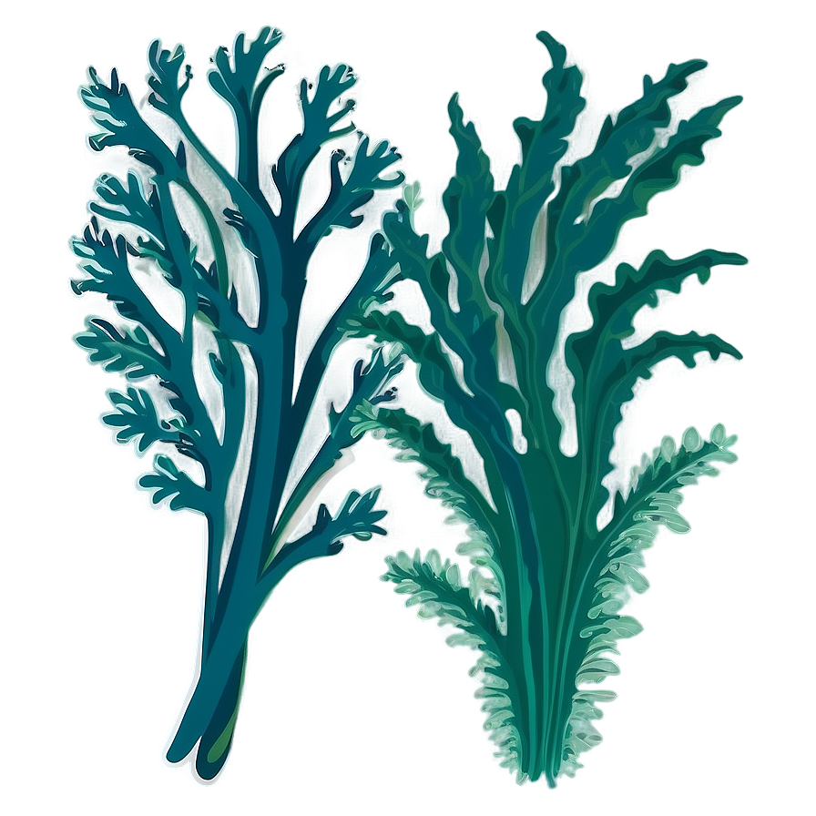 Seaweed Bundle Vector Png Xuj49 PNG image