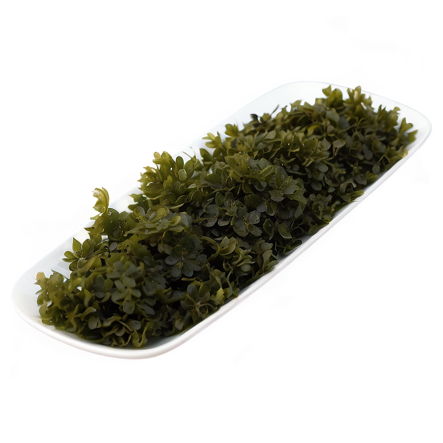 Seaweed Culinary Uses Png 05242024 PNG image