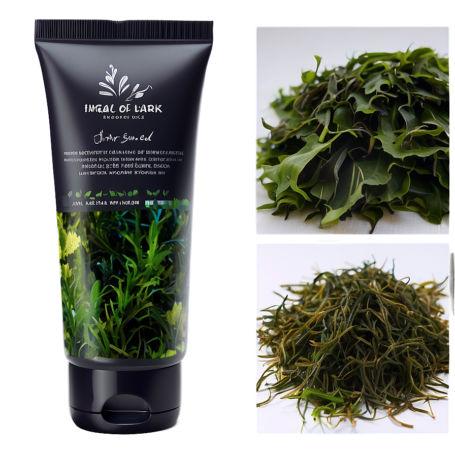 Seaweed For Skincare Png 22 PNG image