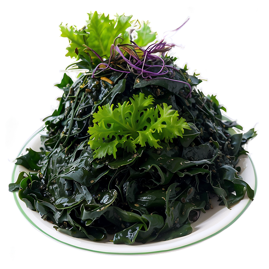 Seaweed Vegan Food Png Ofs9 PNG image