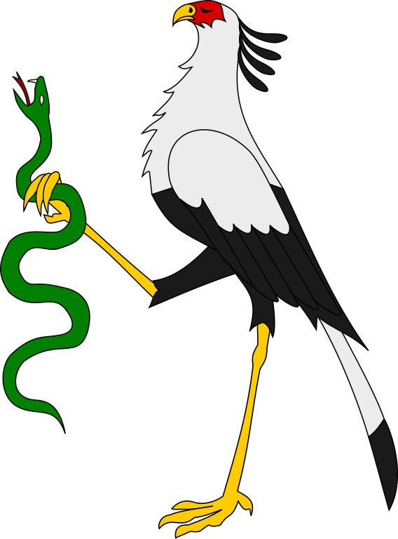 Secretary Bird Cartoon PNG image