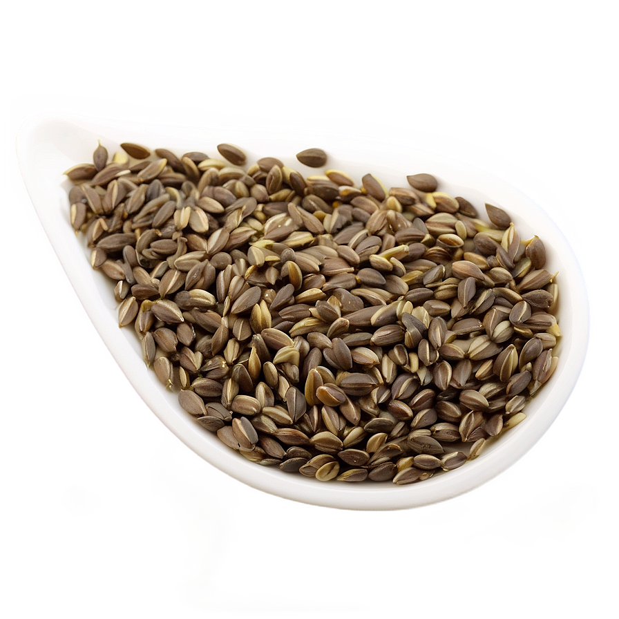 Seed Png Images (100++)