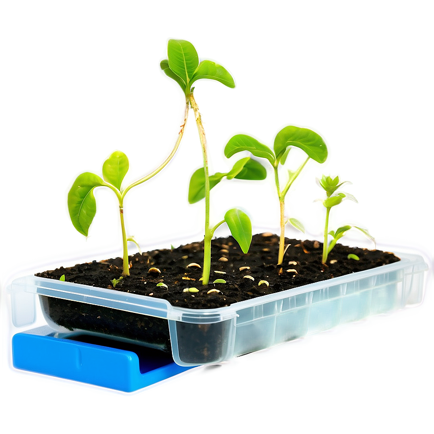 Seed Propagation Mat Png 06122024 PNG image