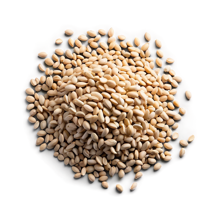 Seed Viability Test Png 06122024 PNG image