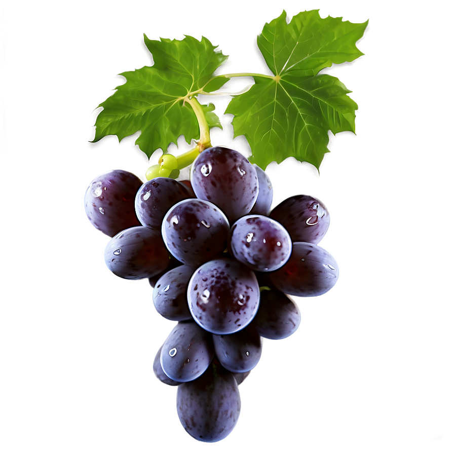 Seedless Grape Png Vnm13 PNG image