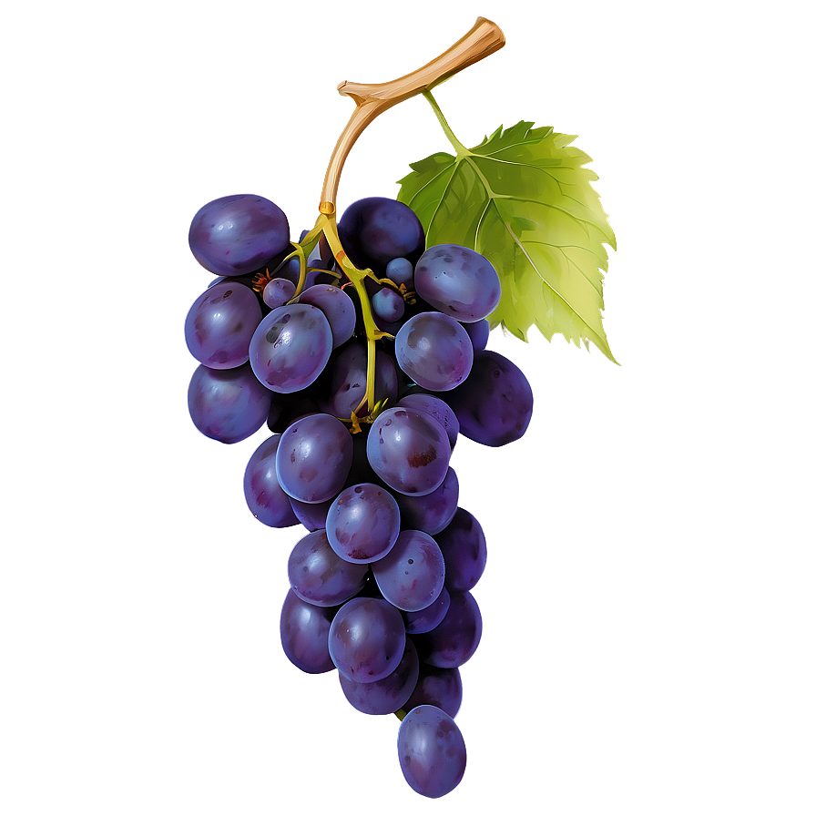 Seedless Grape Png Yqi89 PNG image