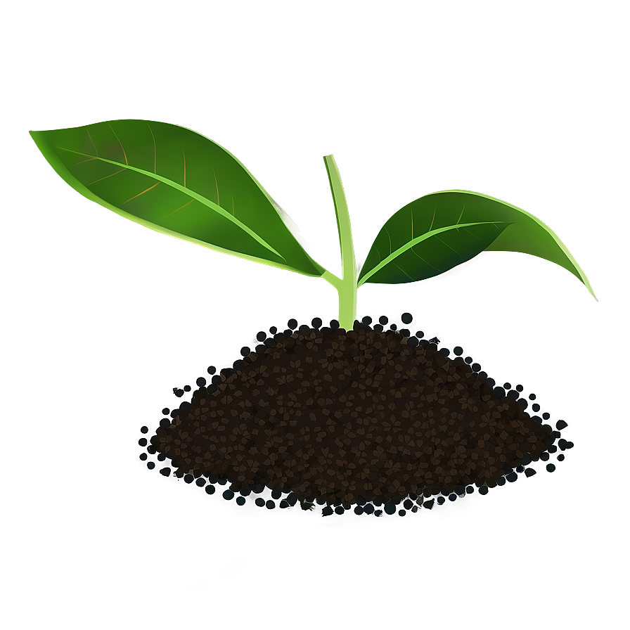 Seedling Plant Clipart Png Jmk90 PNG image