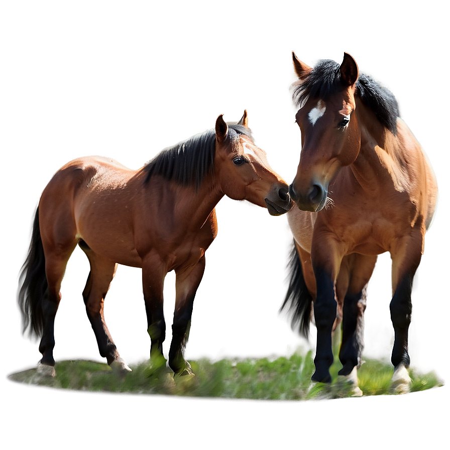 Serendipitous Mustang Horse Encounter Png 93 PNG image