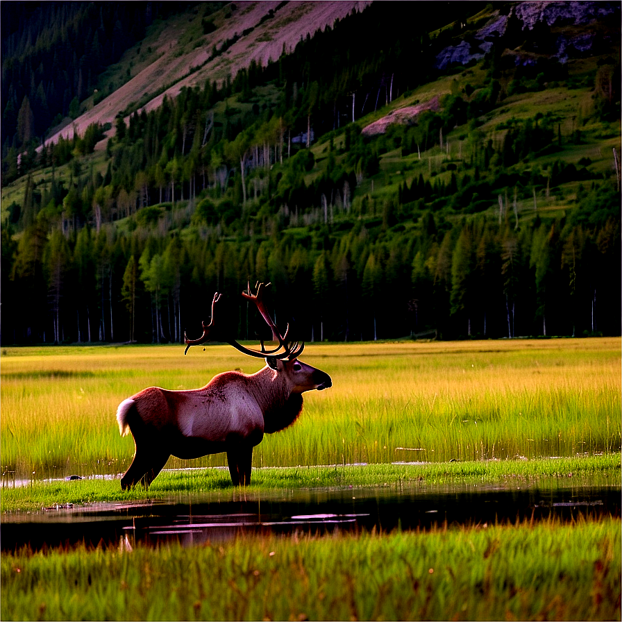 Serene Caribou At Lakeside Png 06292024 PNG image