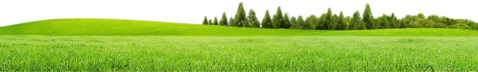 Serene Green Meadow Panorama PNG image