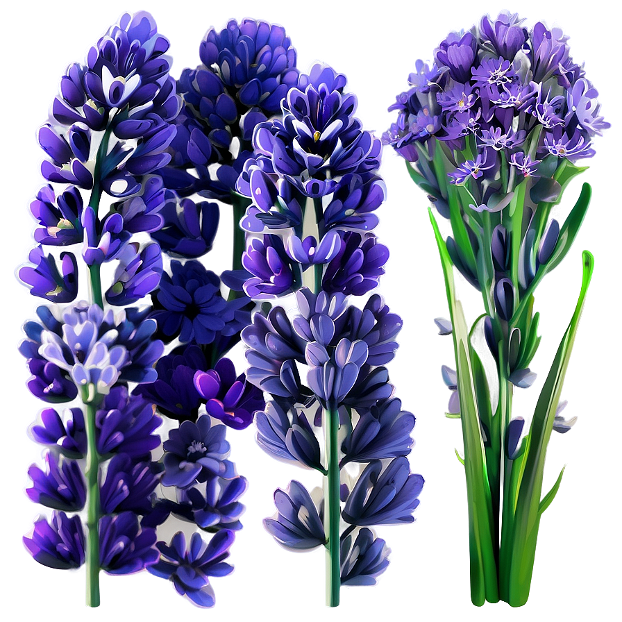 Serene Lavender Png 2 PNG image