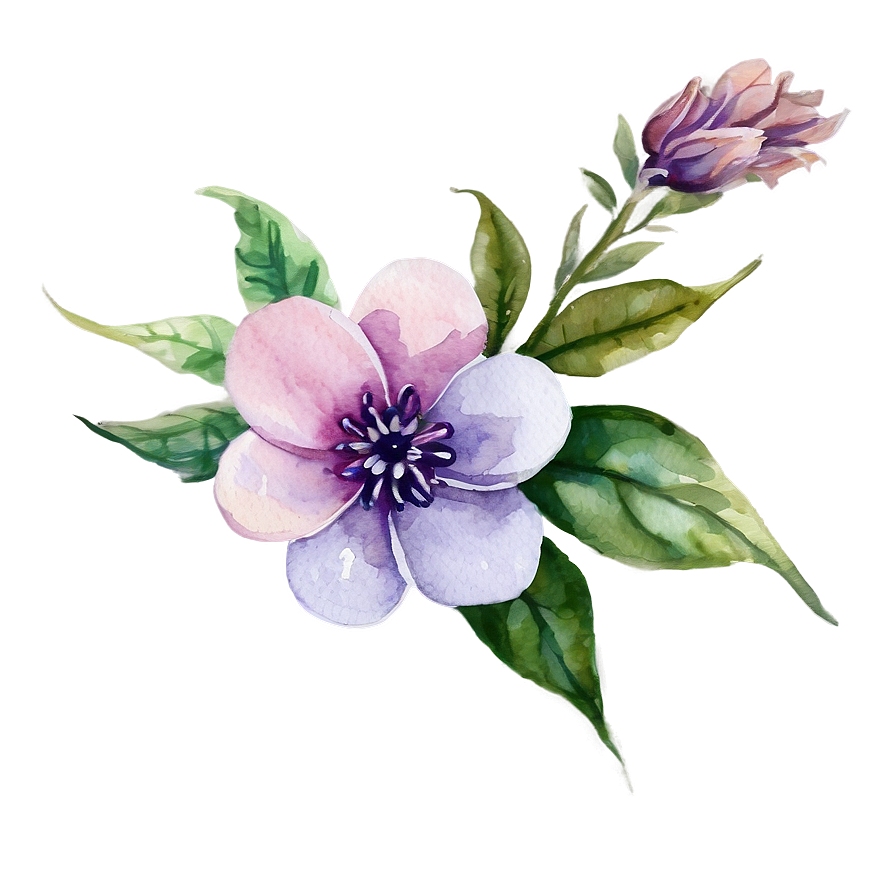 Serene Watercolor Floral Png 93 PNG image