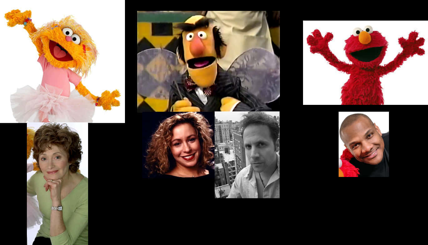 Sesame Street Charactersand Guests Collage PNG image