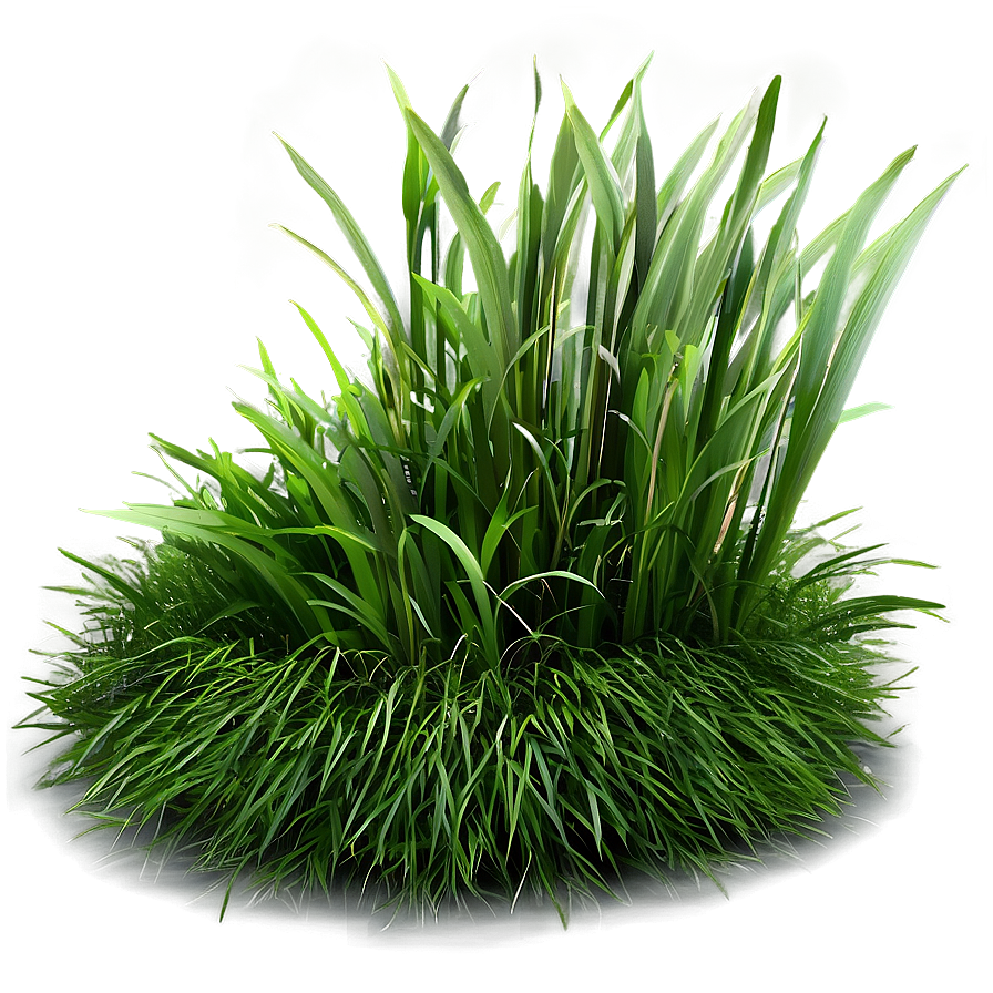 Shaded Grass Patch Png Ytr26 PNG image