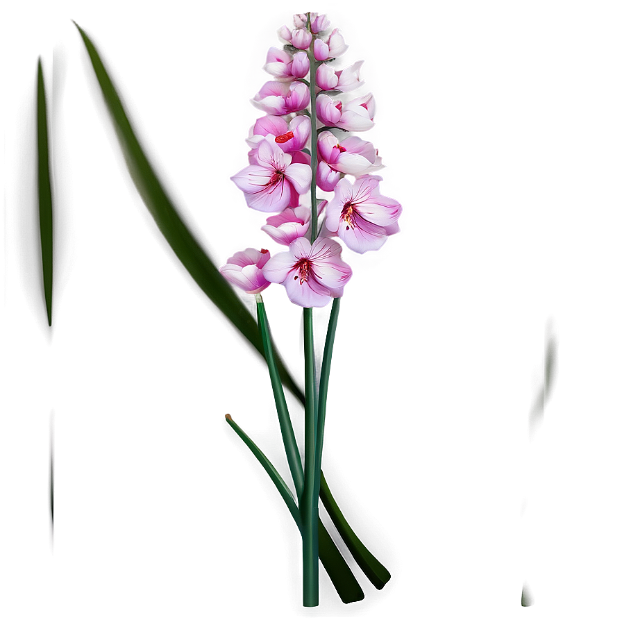 Shaded Pink Flowers Png 95 PNG image