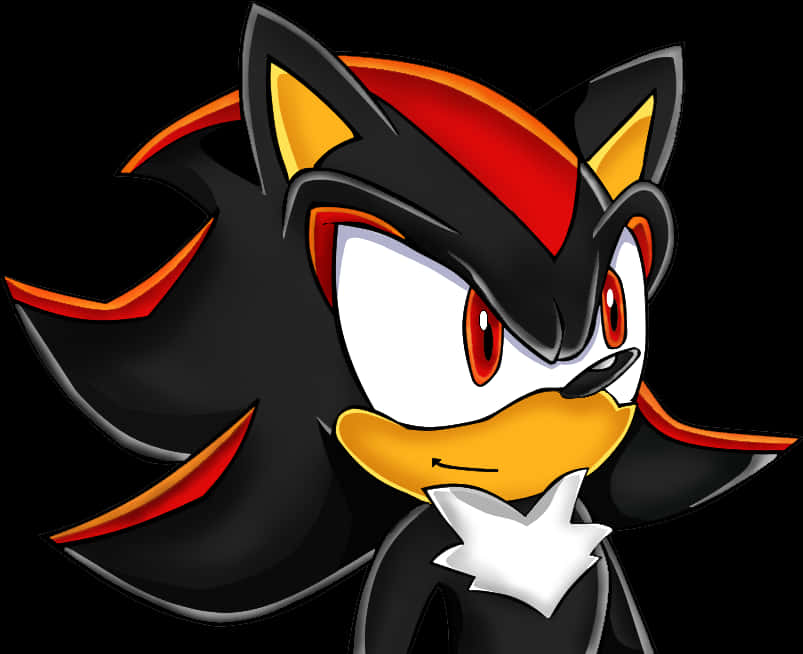 Shadow The Hedgehog Portrait PNG image