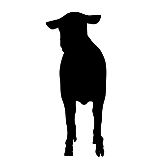 Sheep Silhouette Graphic PNG image