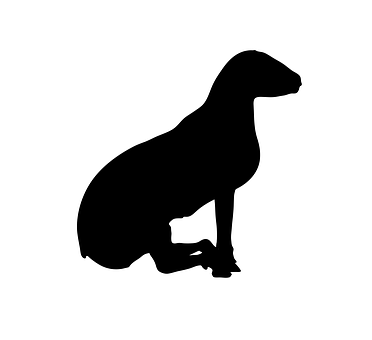 Sheep Silhouette Profile PNG image